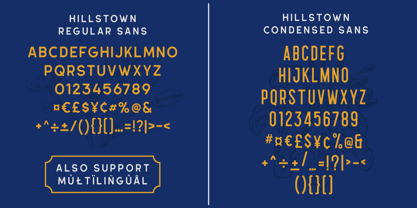 Example font Hillstown #4